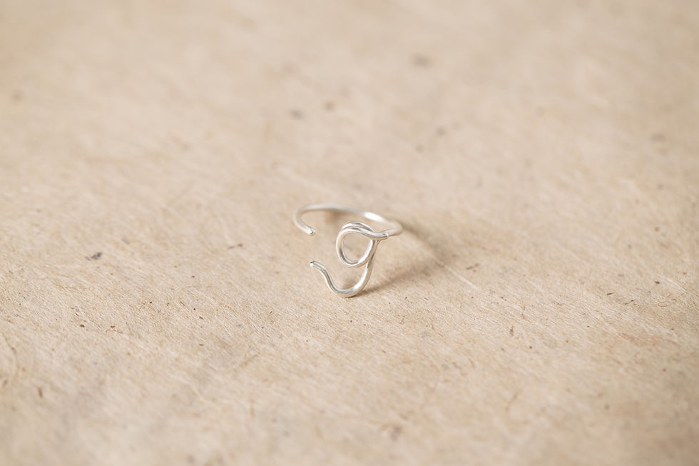 縮圖：ChatterRing E-H silver ring