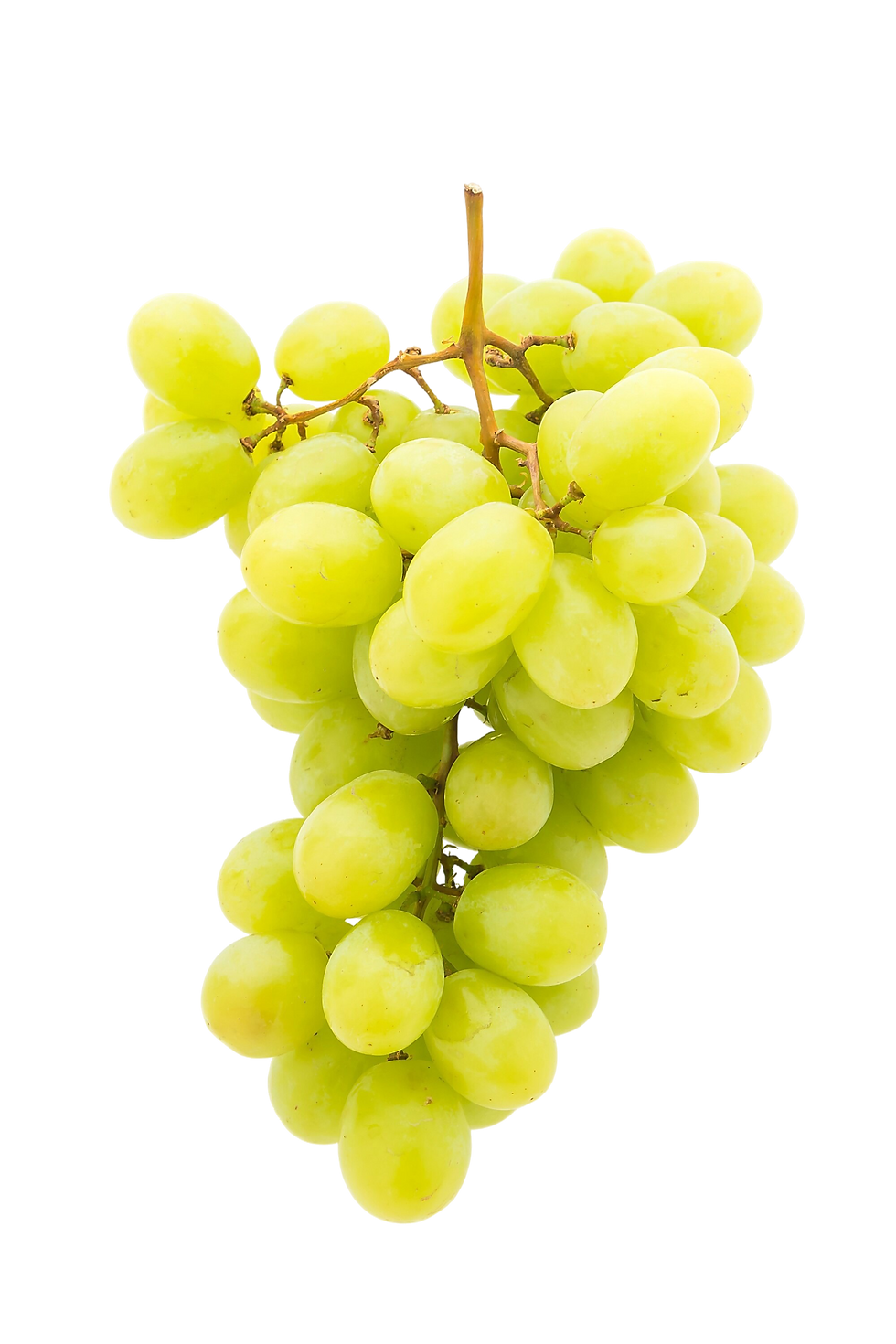 green-grape.png