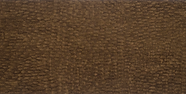 Windswept Bronze Sample.png