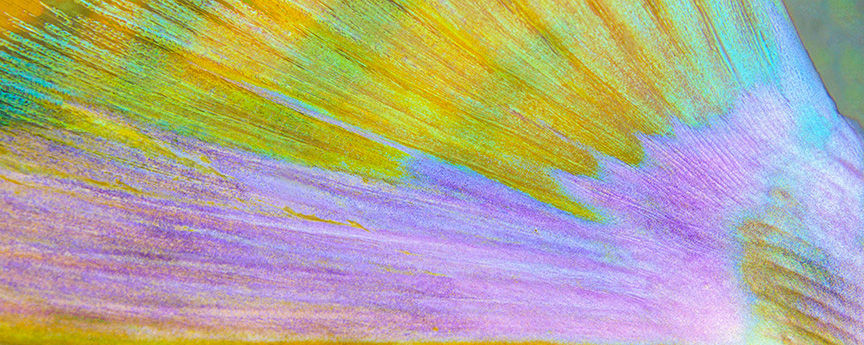 Thumbnail: 1070 Scarf/Stole