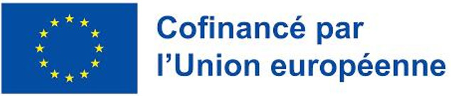 Nouveau logo FSE_edited.jpg