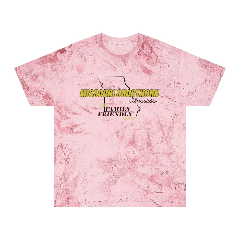 Thumbnail: MSA Logo Color Blast T-Shirt