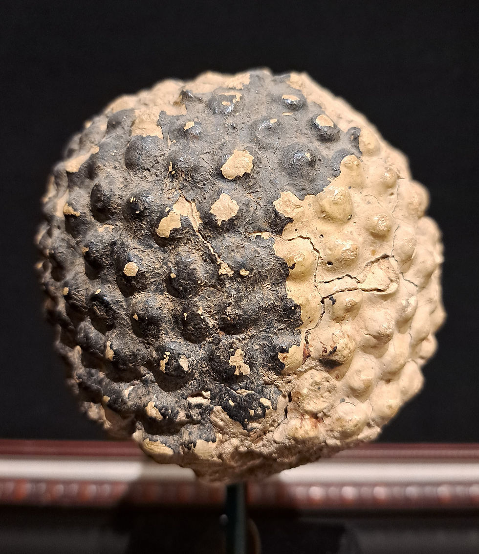 Thumbnail: THAI STUCCO SMALL HAPPY-BUDDHA HEAD, 17th CENTURY, AYUTHAYA PERIOD.