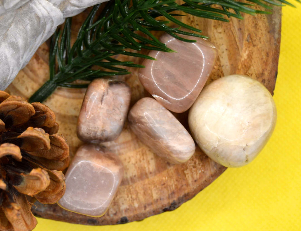 Pierre roulée en Pierre de Lune naturelle 20 à 30 mm, pierre nacrée d’intuition et de douceur, posée sur fond bois clair.