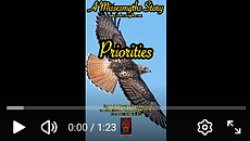 MissesMyths greek myth story retelling: Greek Myths XS, Twins of Different Fathers: Phillamon and Autolykos/Autolycus, Priorities