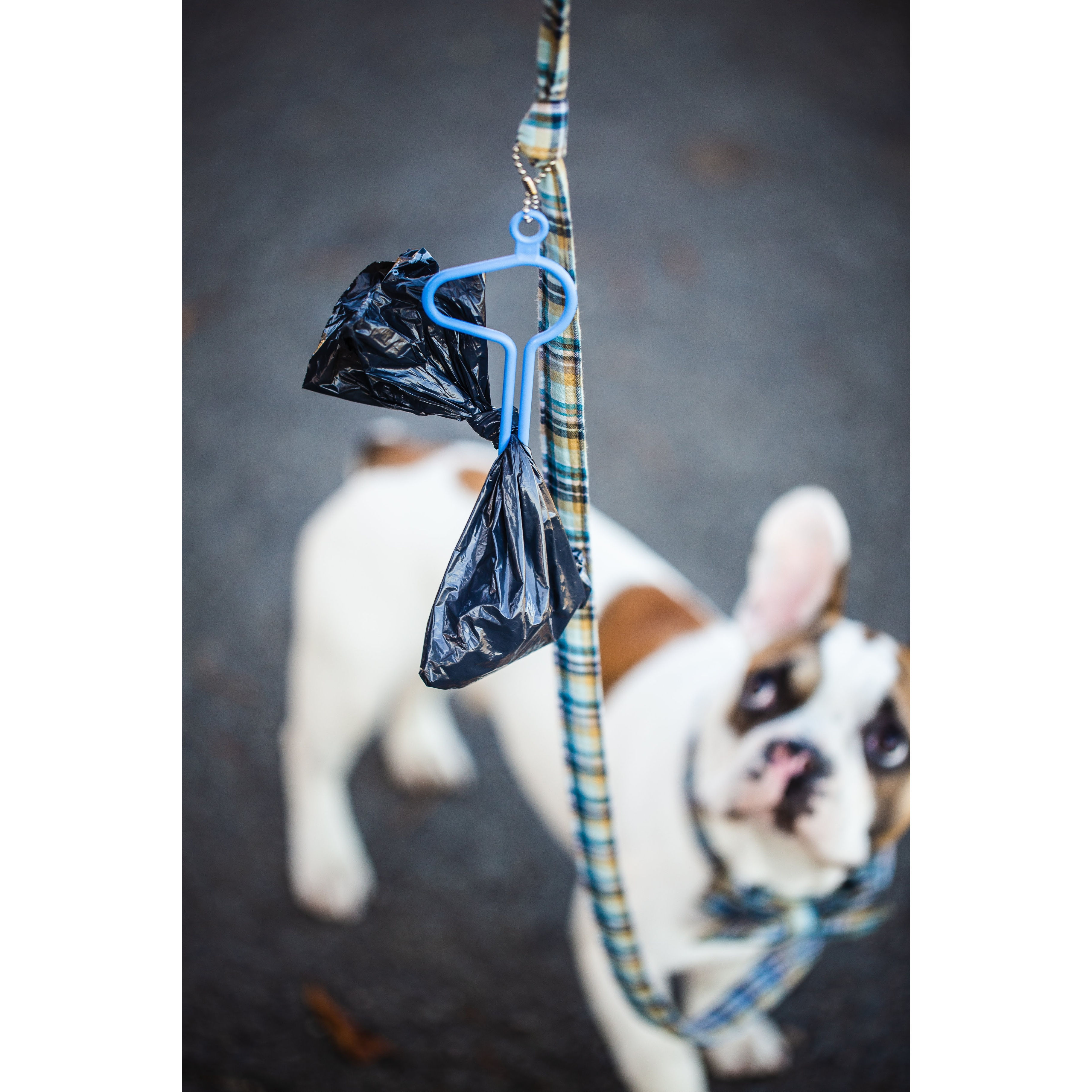 The Dooloop + Poo Bags