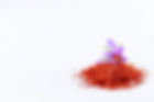 Saffron Blank BG.jpg