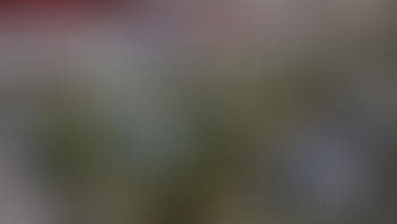 On the Insanity of Spending 5% of GDP on the Military