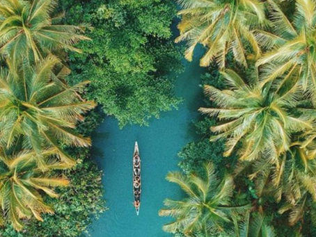 International Day of the Tropics