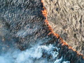 Science for Peace: Facing the Existential Threats