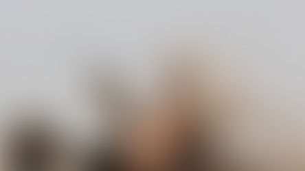 The Iran War-Where do we go from here?