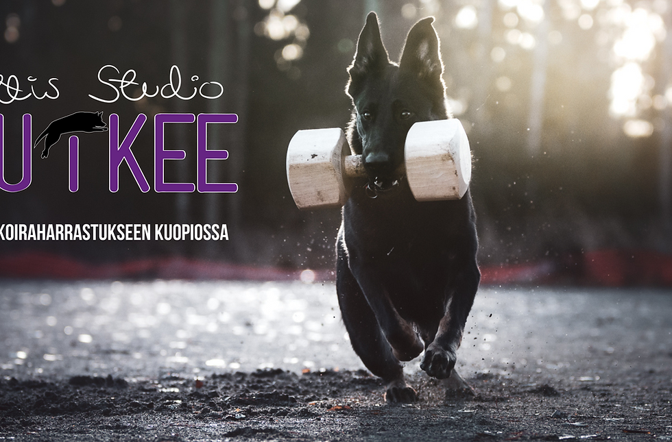 Tottis Studio HuiKee Kuopio.png