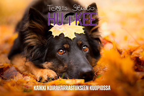 huikee.png