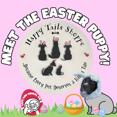 Cape Ann Animal Aid at Happy Tails Shoppe