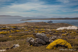 Westpoint Island, Falkland Islands