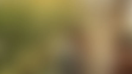 The Synergy of The Field 