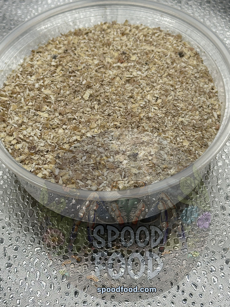 Thumbnail: Micro Meal Worms (retail)