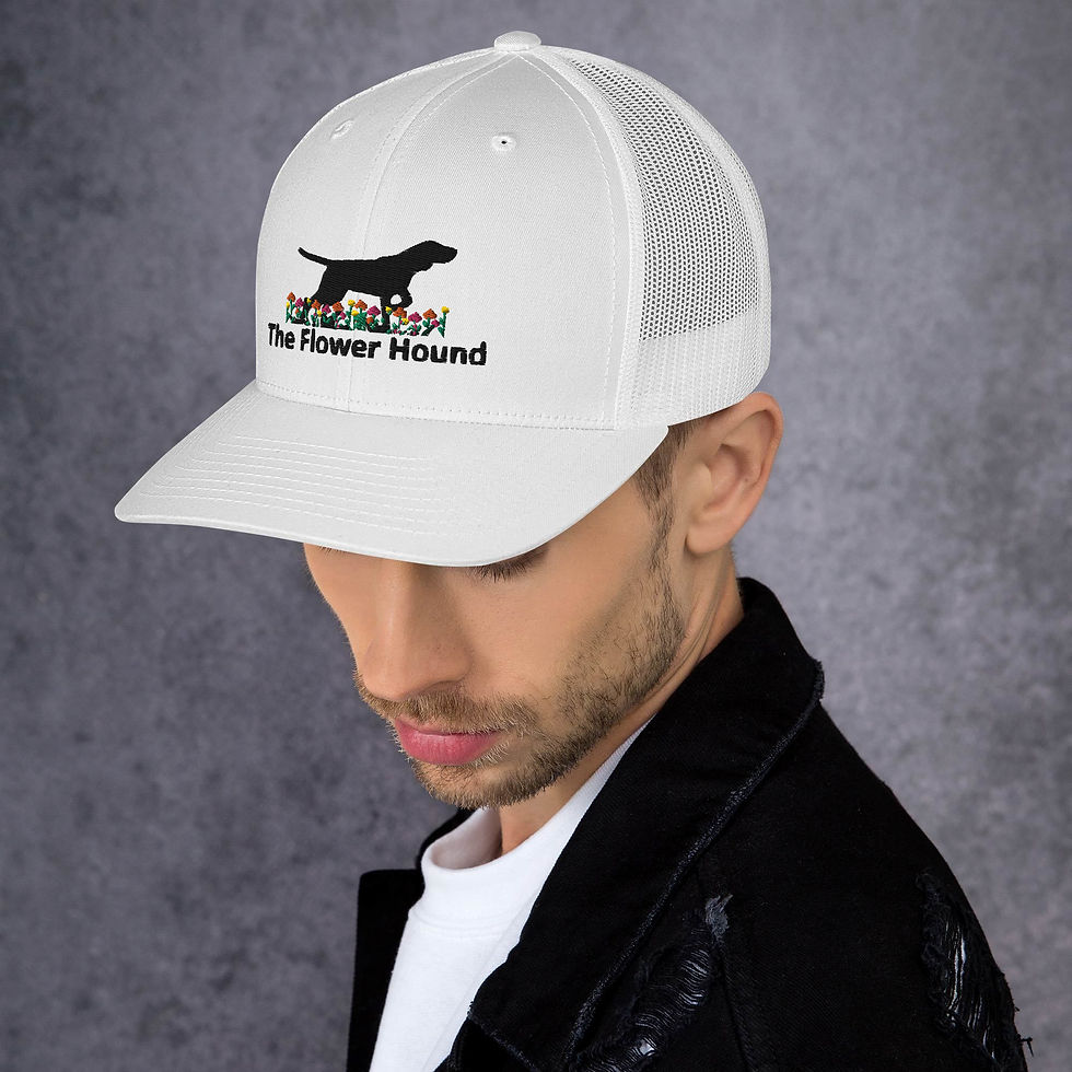 Thumbnail: Trucker Cap