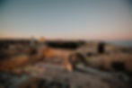 EliBerkoPhotography-803.JPG