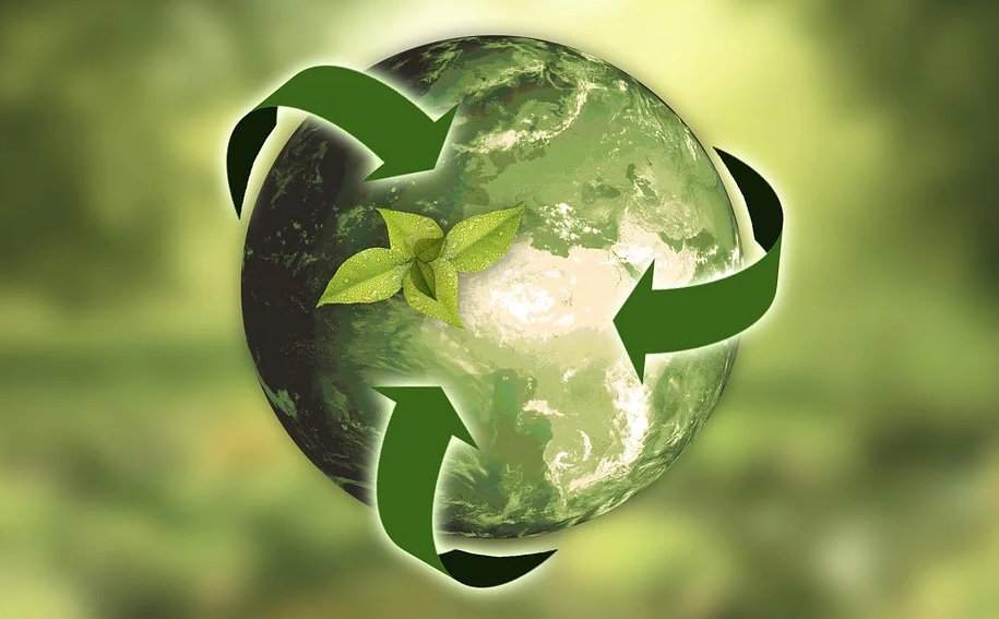 2 Ways to Completely Ruin an Environmentally Friendly Label.webp