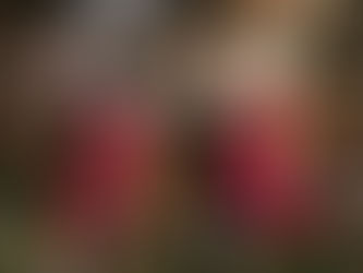Capturing the Beauty of Autumn: Photography Mini Sessions in 2023