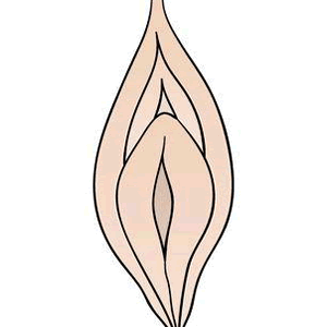 best pocket pussy LOGO.gif