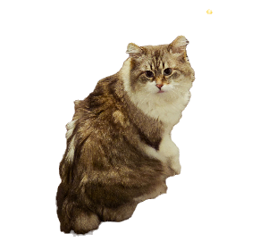 20260107_064809_edited_edited.png