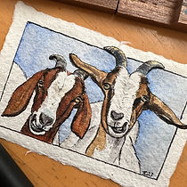 a miniature watercolour and ink portrait of two cheeky goats