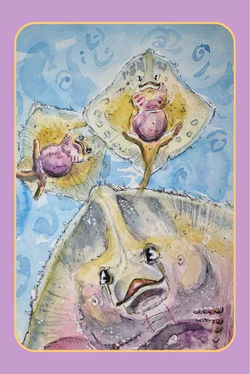 StampFans February 2026_edited