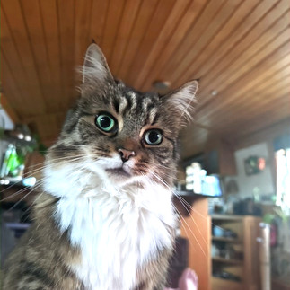 Olive, looking quizzical