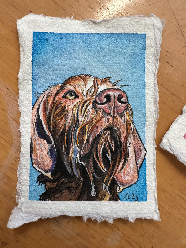 Miniature watercolour and gouache pet portrait of a wire haired viszla