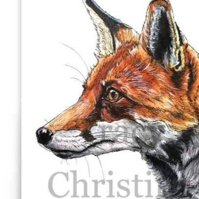 Thumbnail: For Fox Sake - Highly detailed watercolour and ink profile portrait of a red fox on a white background by Tracy Christina