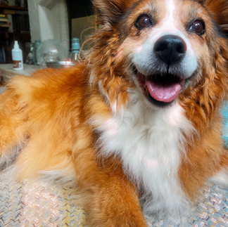 Roxie, sending love