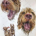 Watercolour and ink pet portrait of Zeus and Riva, two wire haired Vizslas