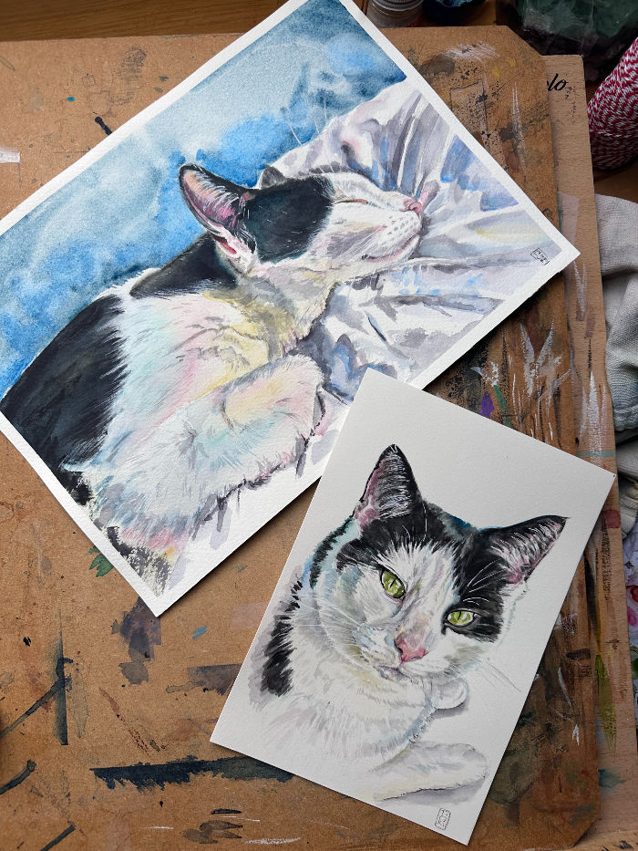 Watercolour pet portrait commission of Pearl, the black and white cat_edited