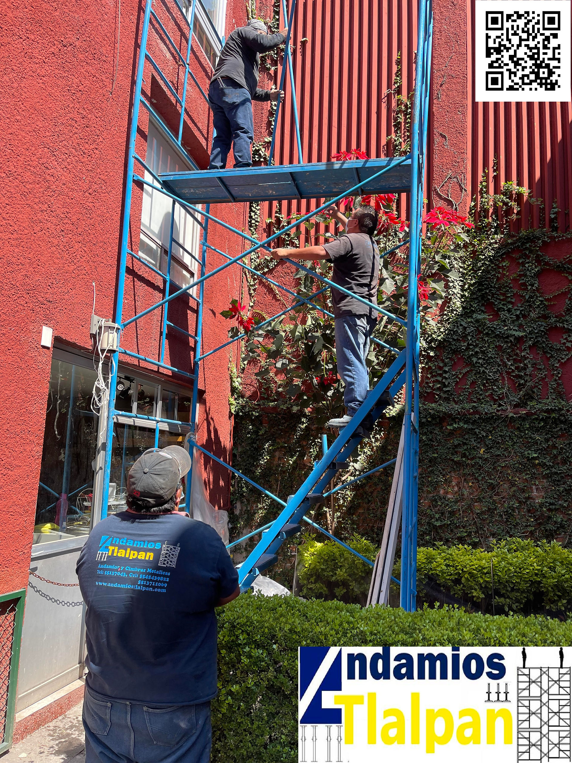 Andamios con escalera