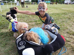 18928226_1930679083880012_2024823110_n