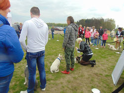 13087791_575253025969801_3572921812273727965_n