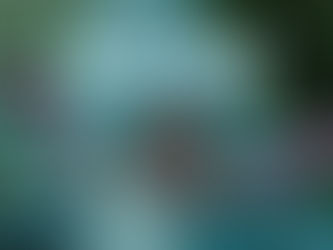 Kauwboy (Kauwboy, 2012)