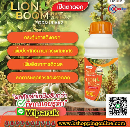 Lion Boom อาหารเสริมพืช เปิดตาดอก เพิ่มผลผลิต ช่วยให้พืชออกดอกเร็ว ติดผลดี