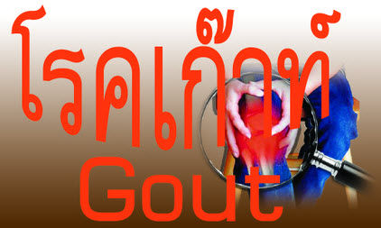 โรคเก๊า อาการ สาเหตุ และการรักษาโรคเก๊าท์