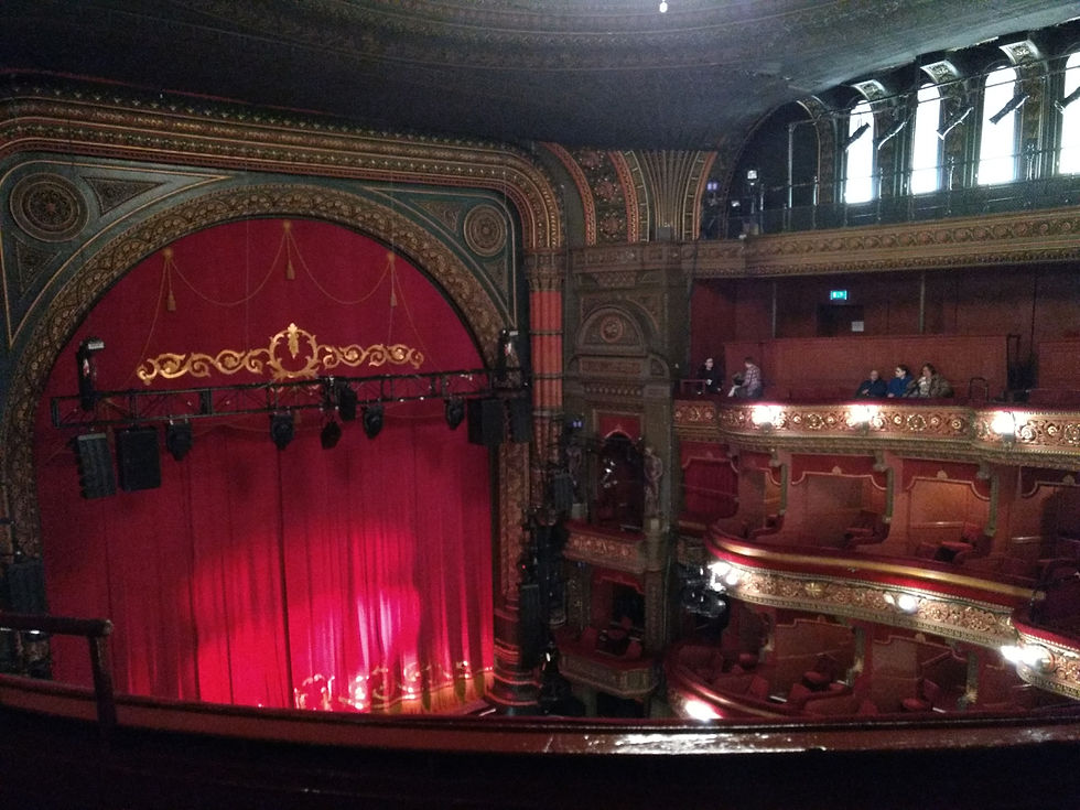 The View