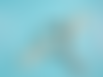 מה באמת קורה אחרי פרסום משרת מנהל כספים?