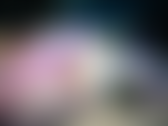 חברת השמה הנהלת חשבונות