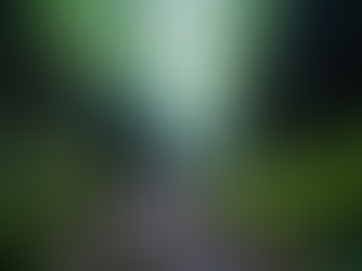 Guias experientes para roteiros de aventura no RJ