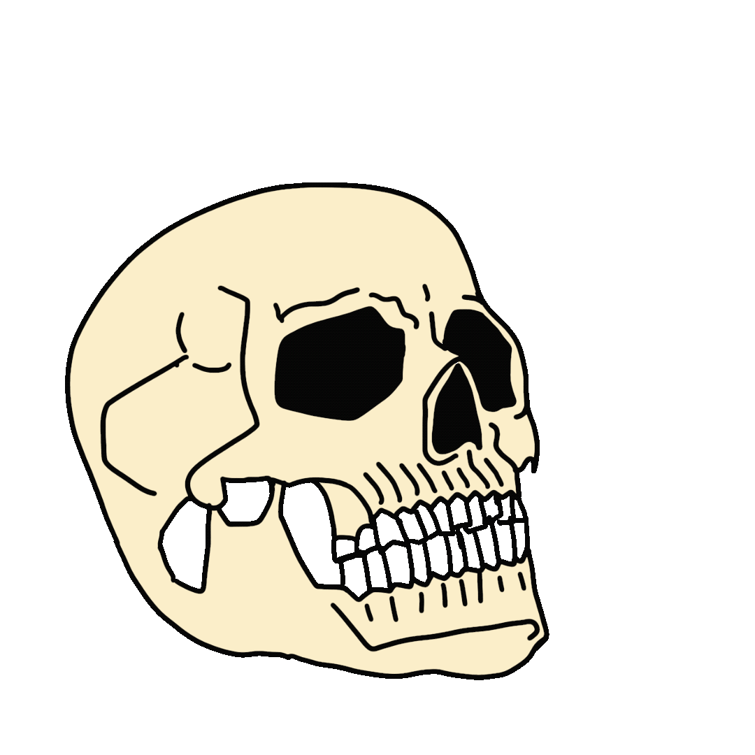 Untitled_Artwork 3.gif