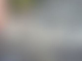 Past Work 11/10/2022 - 09/01/2023