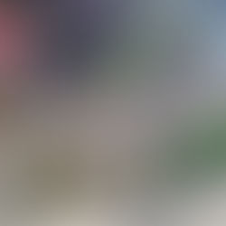 Current Work 22/04/2025 - 02/06/2025