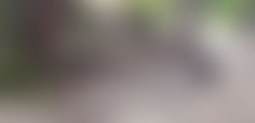 Past Work 24/10/2018 - 20/03/2019