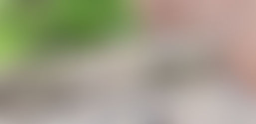 Past Work 24/10/2018 - 03/09/2018